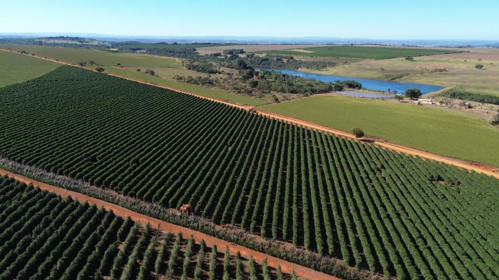 Lavouras de café da Oro Nero no Cerrado Mineiro